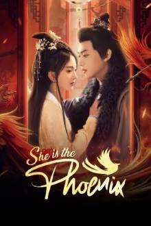 She Is the Phoenix (2025)