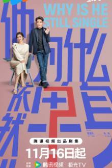 Why Is He Still Single? (2025) Ep 14 Eng Sub
